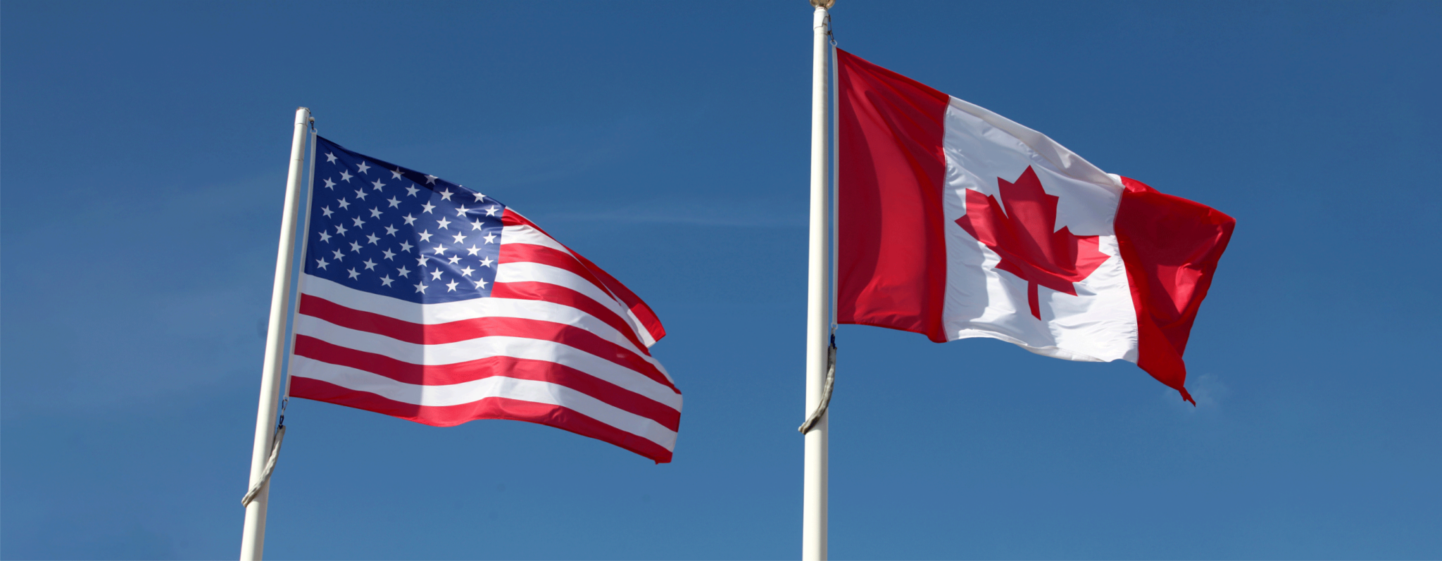 The US and Canada Join Forces to Combat Scams, Seizing Millions in Crypto